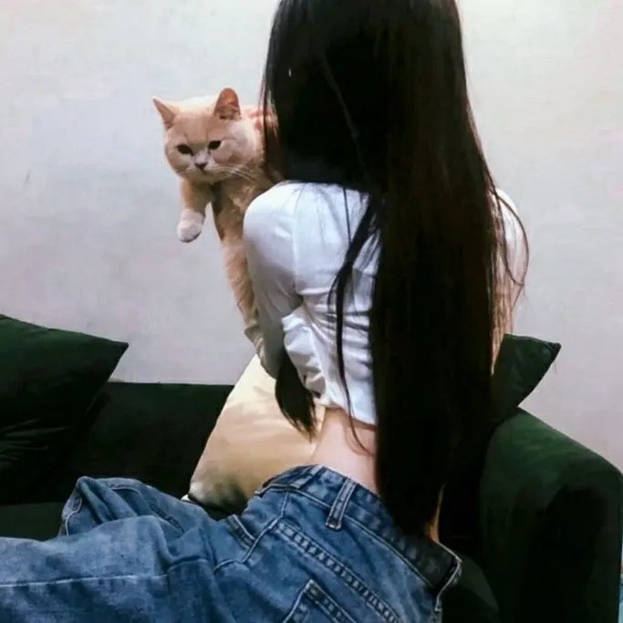凤舞龙翔